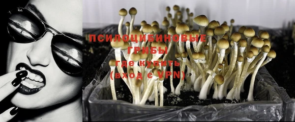 амфетамин Лабытнанги