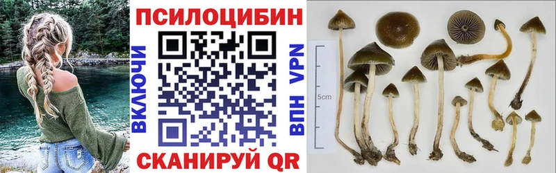 Галлюциногенные грибы Cubensis  Троицк 
